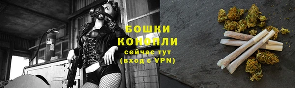 PSILOCYBIN Армянск