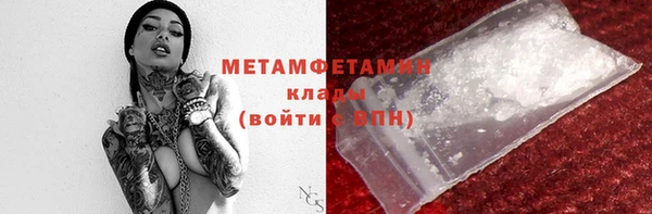 трава Няндома