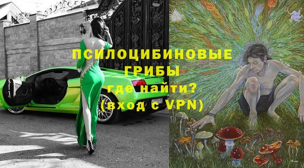 спайс Арсеньев