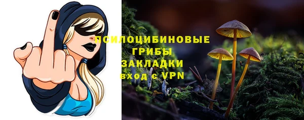 PSILOCYBIN Армянск
