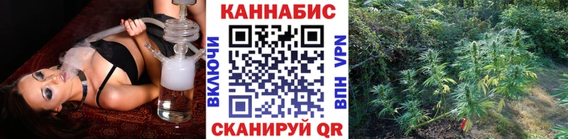 Шишки марихуана планчик  это официальный сайт  Макаров  купить закладку 